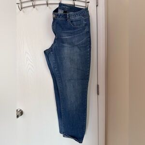 Straight Leg Lane Bryant jeans